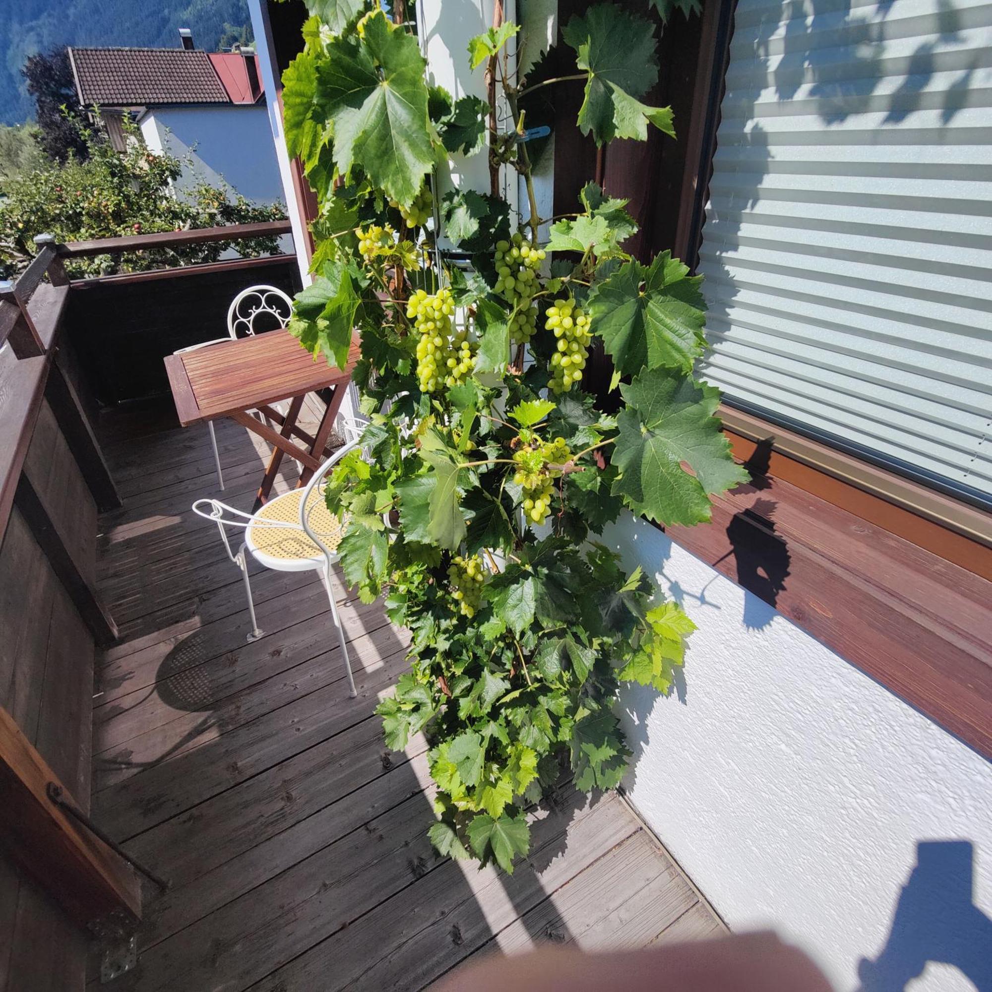 Apartment Reiter Zellbergeben 外观 照片